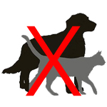 repulsif chien et chat